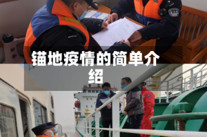 锚地疫情的简单介绍