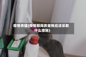疫情养猫(疫情期间养宠物应该采取什么措施)