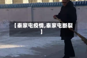 【秦家屯疫情,秦家屯断裂】