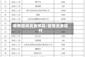 疫情期间资金保障/疫情资金拨付