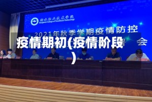 疫情期初(疫情阶段)