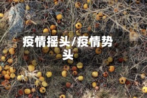 疫情摇头/疫情势头