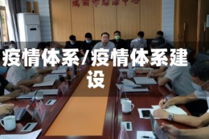 疫情体系/疫情体系建设