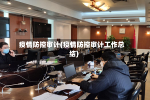 疫情防控审计(疫情防控审计工作总结)
