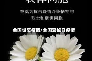 全国悼哀疫情/全国哀悼日疫情