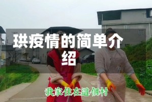 珙疫情的简单介绍