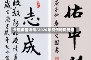 全国疫情诗句/2020年疫情诗词简短