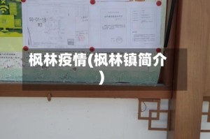 枫林疫情(枫林镇简介)