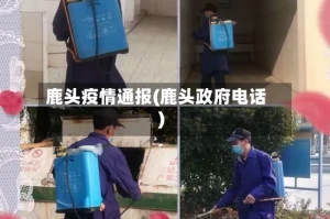 鹿头疫情通报(鹿头政府电话)