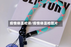疫情体温枪诗/疫情体温枪图片