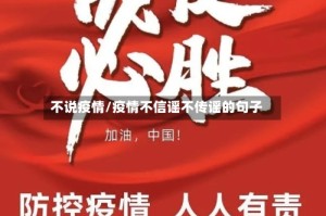 不说疫情/疫情不信谣不传谣的句子