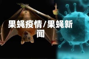 果蝇疫情/果蝇新闻