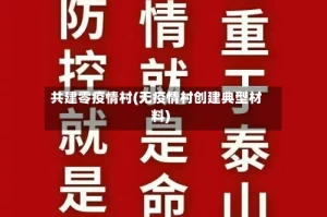 共建零疫情村(无疫情村创建典型材料)