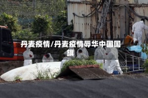 丹麦疫情/丹麦疫情辱华中国国旗