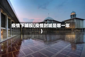 疫情下城投(疫情封城是哪一年)