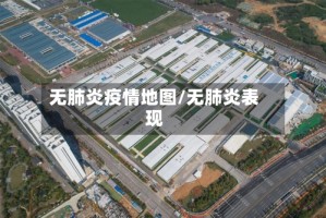 无肺炎疫情地图/无肺炎表现