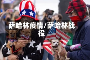 萨哈林疫情/萨哈林战役