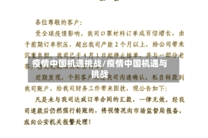 疫情中国机遇挑战/疫情中国机遇与挑战