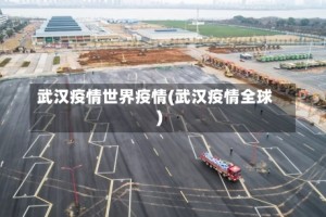 武汉疫情世界疫情(武汉疫情全球)