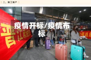 疫情开标/疫情布标