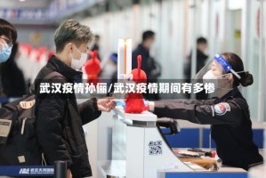 武汉疫情孙俪/武汉疫情期间有多惨