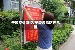 宁陵疫情防控/宁陵疫情防控电话