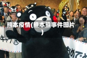 熊本疫情(熊本熊事件图片)