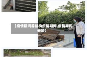 【疫情期间养机构疫情期间,疫情期间养殖】