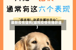 最新疫情猫狗(猫狗疫情传播辟谣)