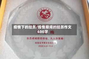 疫情下的经历/疫情期间的经历作文600字