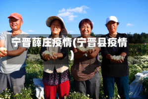 宁晋薛庄疫情(宁晋县疫情)