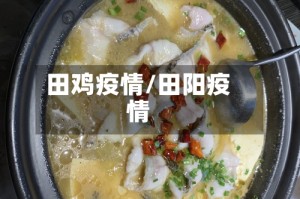 田鸡疫情/田阳疫情