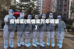 疫情梁(疫情梁万年砖家)