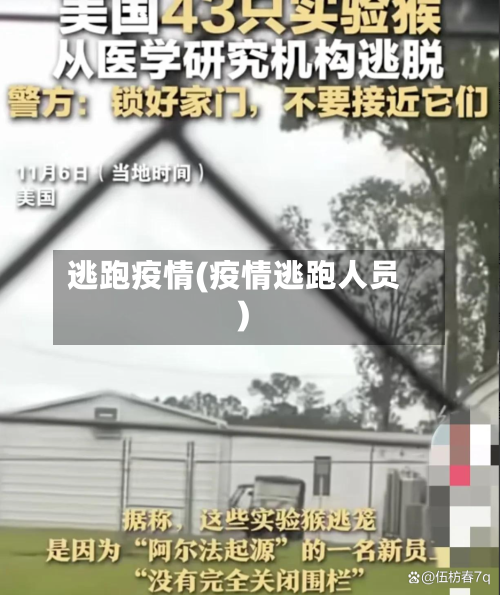 逃跑疫情(疫情逃跑人员)-第3张图片