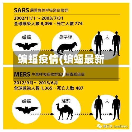 蝙蝠疫情(蝙蝠最新)-第1张图片