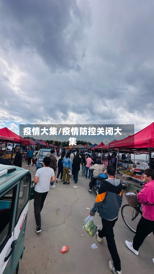 疫情大集/疫情防控关闭大集-第2张图片