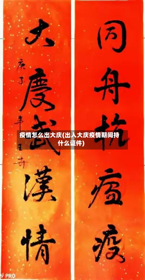 疫情怎么出大庆(出入大庆疫情期间持什么证件)-第1张图片