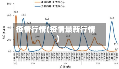 疫情行情(疫情最新行情)-第2张图片