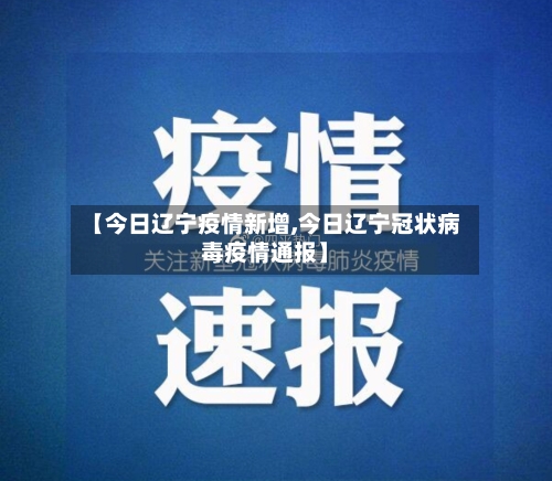 【今日辽宁疫情新增,今日辽宁冠状病毒疫情通报】-第2张图片
