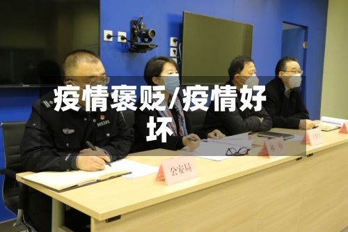 疫情褒贬/疫情好坏-第2张图片