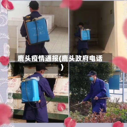 鹿头疫情通报(鹿头政府电话)-第1张图片
