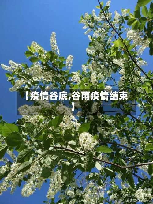 【疫情谷底,谷雨疫情结束】-第1张图片