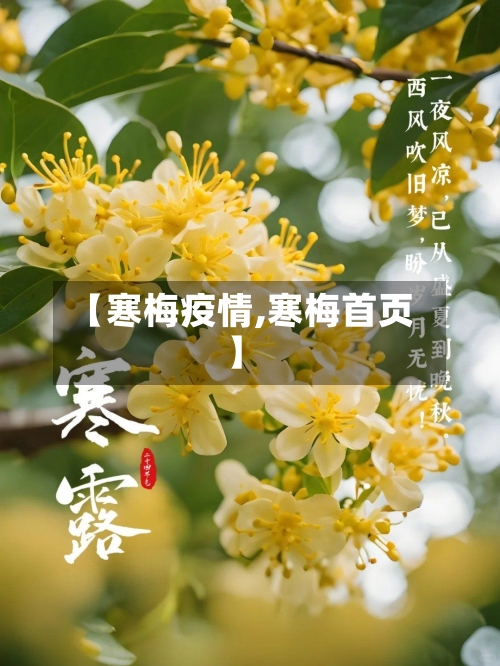 【寒梅疫情,寒梅首页】-第1张图片