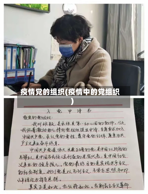 疫情党的组织(疫情中的党组织)-第1张图片