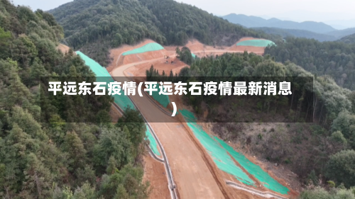 平远东石疫情(平远东石疫情最新消息)-第2张图片