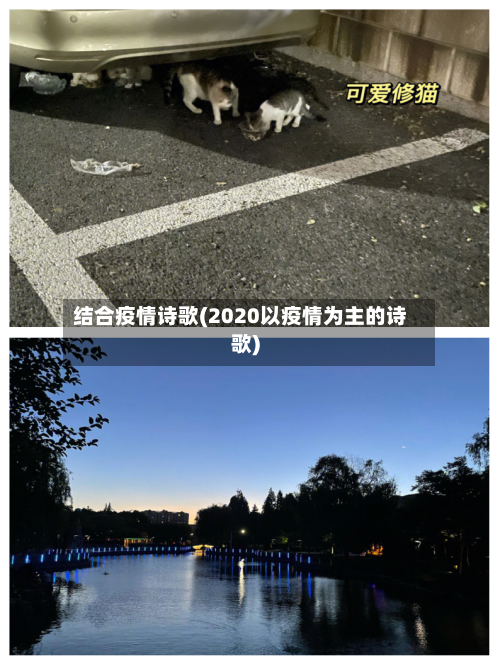 结合疫情诗歌(2020以疫情为主的诗歌)-第1张图片
