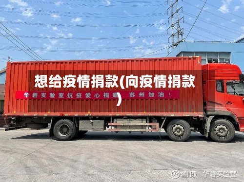 想给疫情捐款(向疫情捐款)-第2张图片