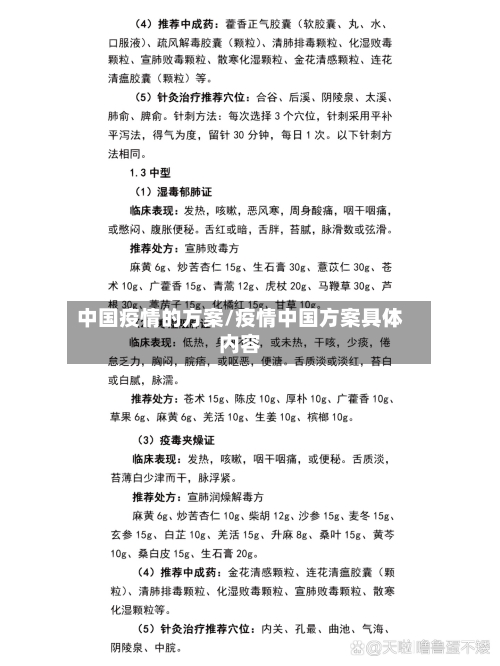 中国疫情的方案/疫情中国方案具体内容-第1张图片