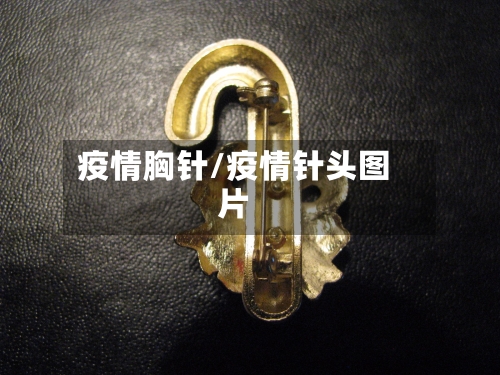 疫情胸针/疫情针头图片-第2张图片