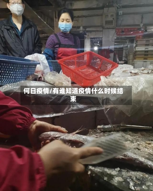 何日疫情/有谁知道疫情什么时候结束-第2张图片